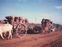 Traffic along highway LTL1A