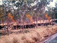 Infantry bivouac area down the road from Charlie Battery