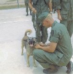 Haymaker George Gets Bronze Star  JAskman Photo